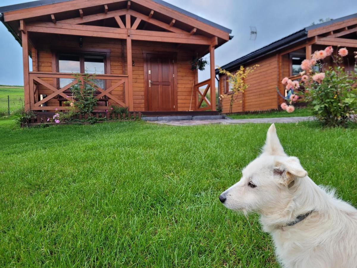 Domki Pod Lasem Villa Rokiciny Podhalanskie Bagian luar foto