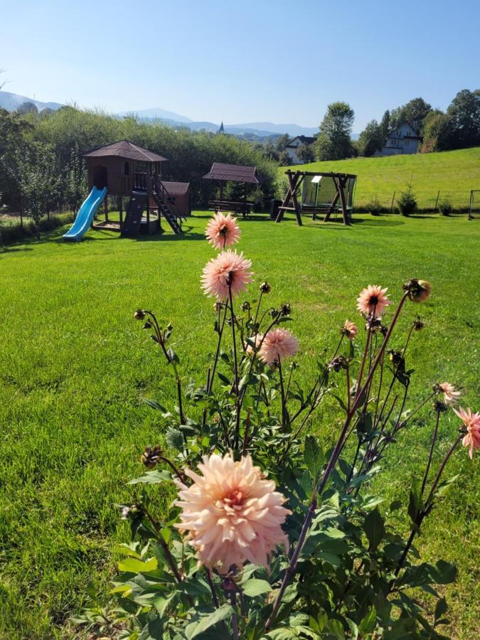 Domki Pod Lasem Villa Rokiciny Podhalanskie Bagian luar foto