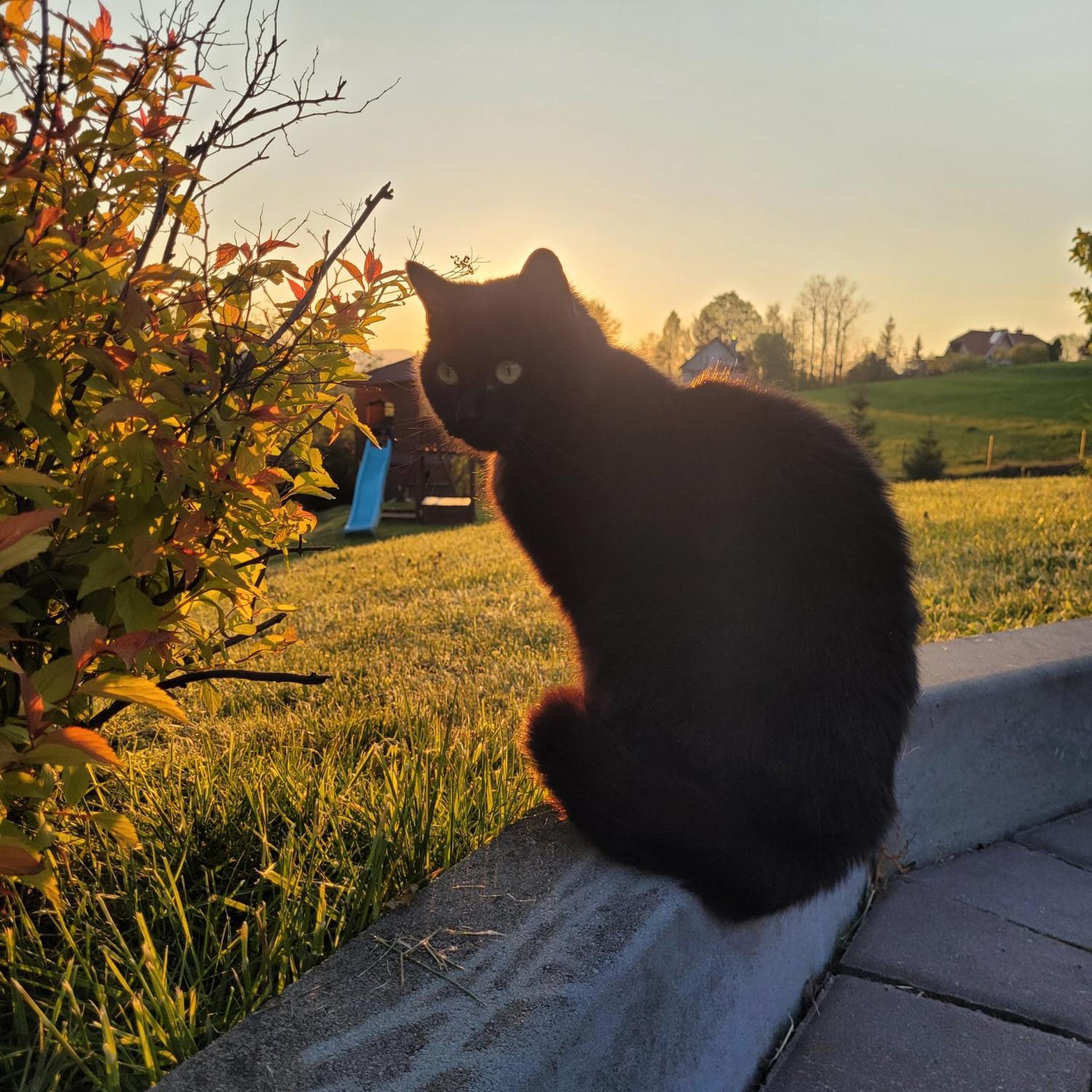 Domki Pod Lasem Villa Rokiciny Podhalanskie Bagian luar foto