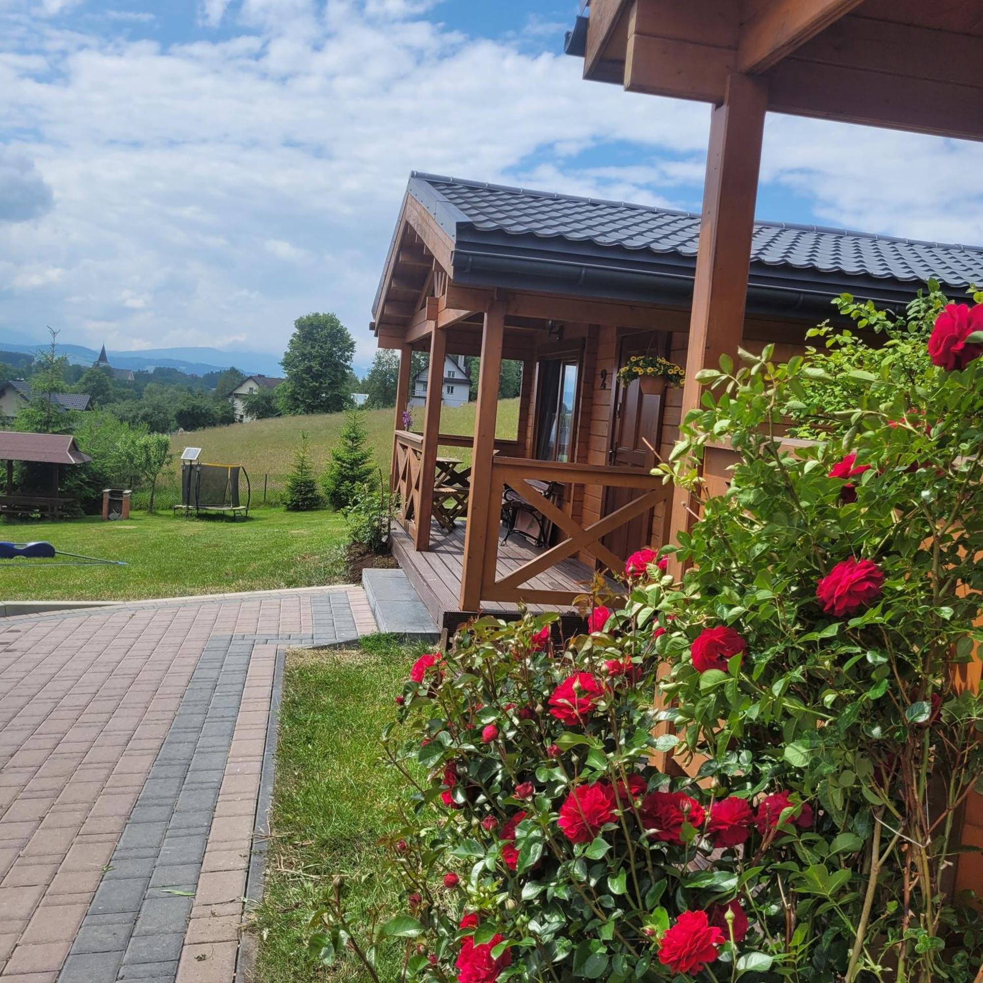 Domki Pod Lasem Villa Rokiciny Podhalanskie Bagian luar foto