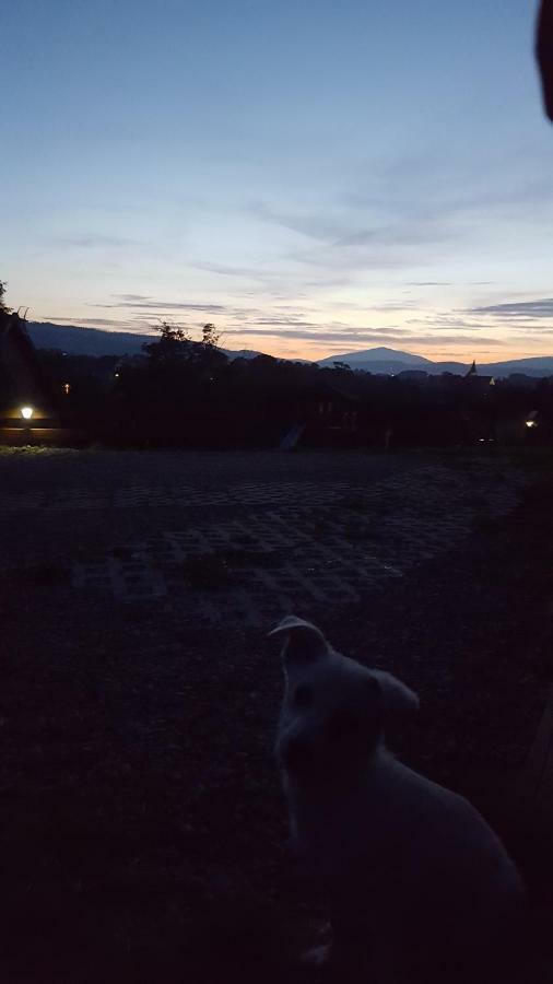 Domki Pod Lasem Villa Rokiciny Podhalanskie Bagian luar foto