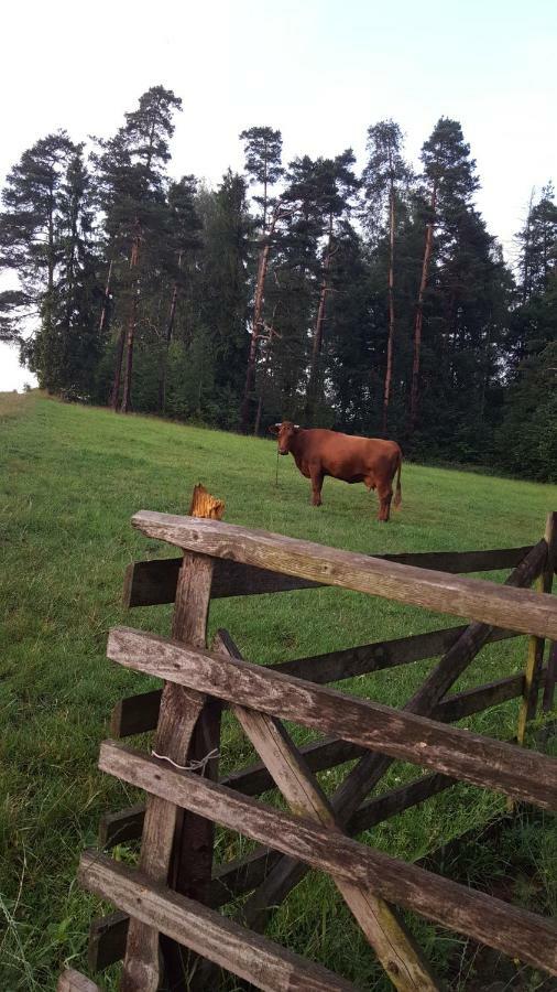 Domki Pod Lasem Villa Rokiciny Podhalanskie Bagian luar foto